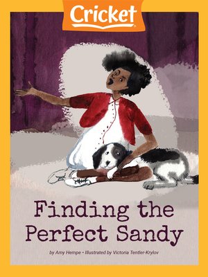 cover image of Finding the Perfect Sandy